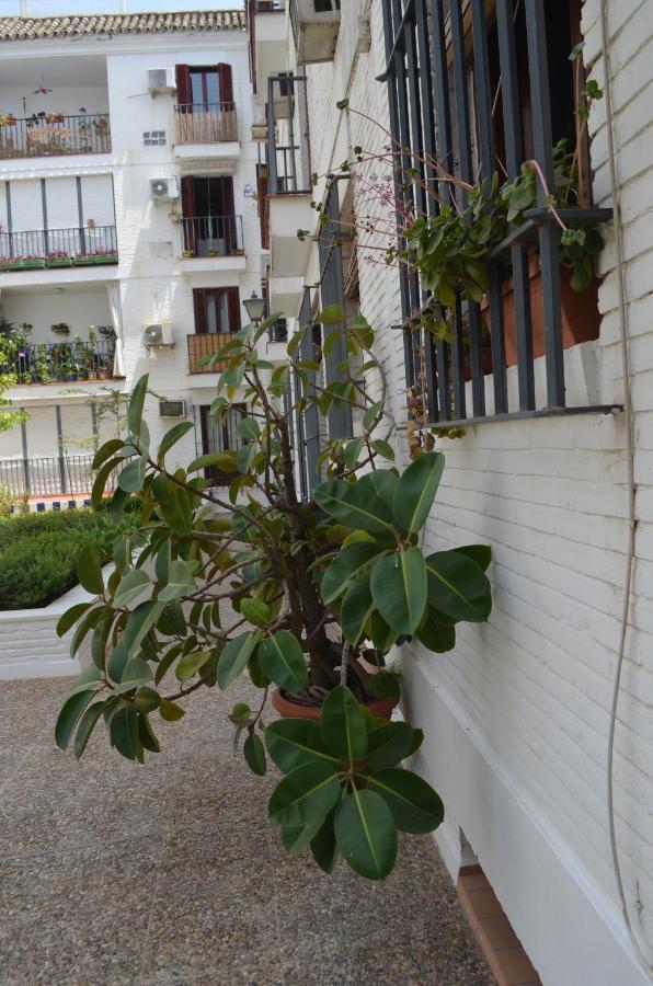 La Casa De Jose Manuel Apartment Seville Ngoại thất bức ảnh